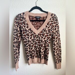 Women's Express Leopard Print V-Neck Long Sleeve Sweater